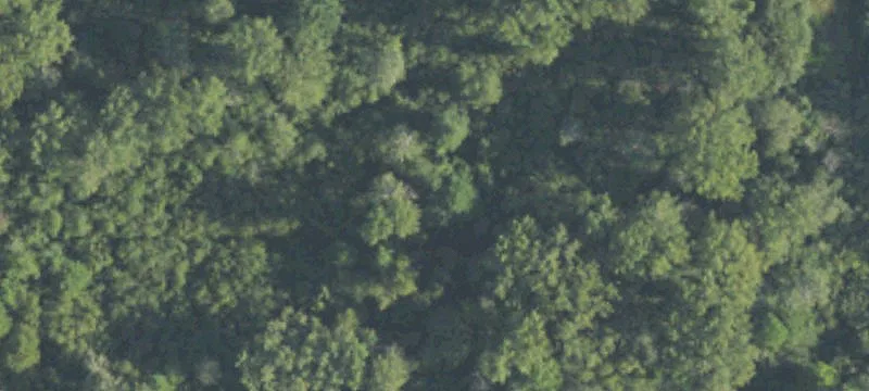 2325 Salzburg St