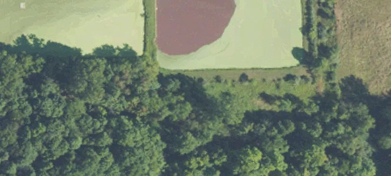 42235 County Rd 390