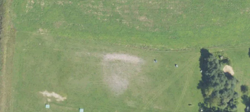 1990 Pline Rd