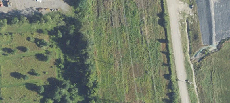 6 Mile Rd