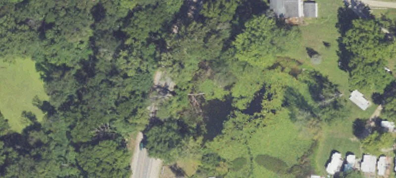 11011 Doster Rd