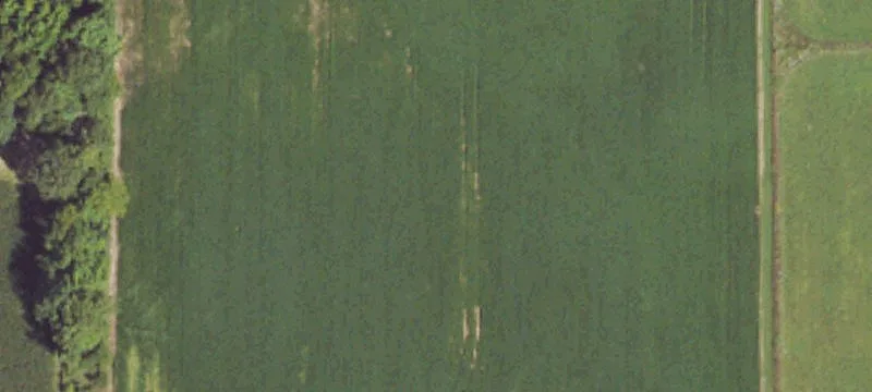 11788 Lawrence Hwy