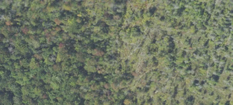 4243 M 37