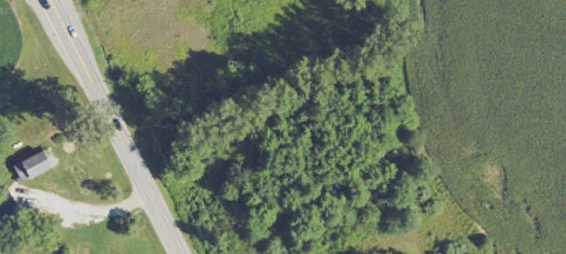 7400 Summerfield Rd