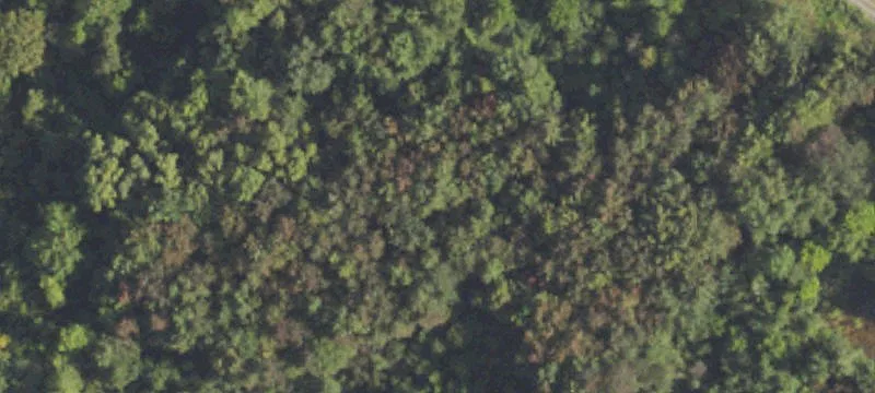 6 Mile Rd