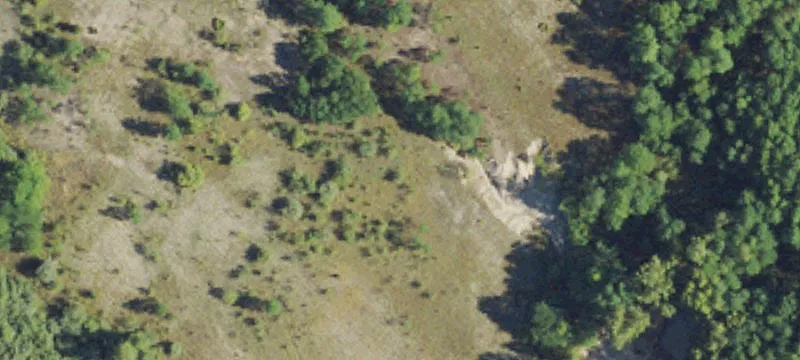 Davisburg, MI 48350