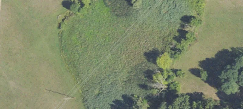 Holly, MI 48442