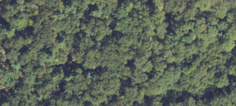 Twin Lake, MI 49457