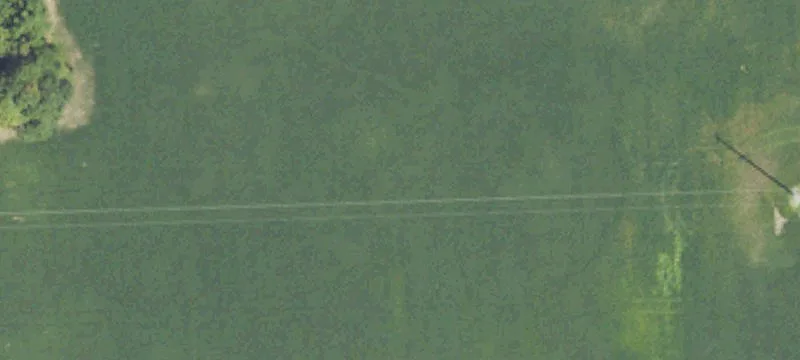 Webberville, MI 48892