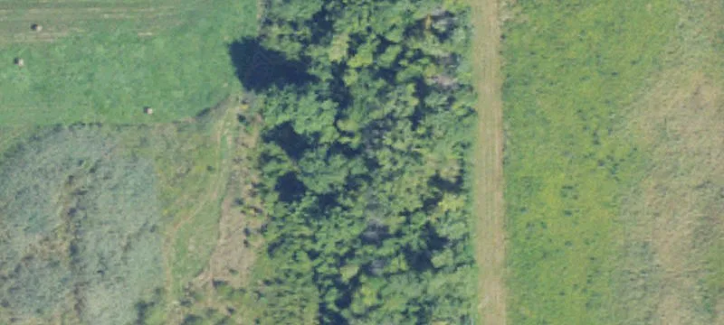 William P Rosso Hwy