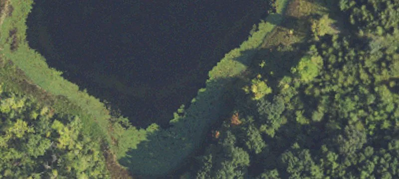 Whitmore Lake, MI 48189