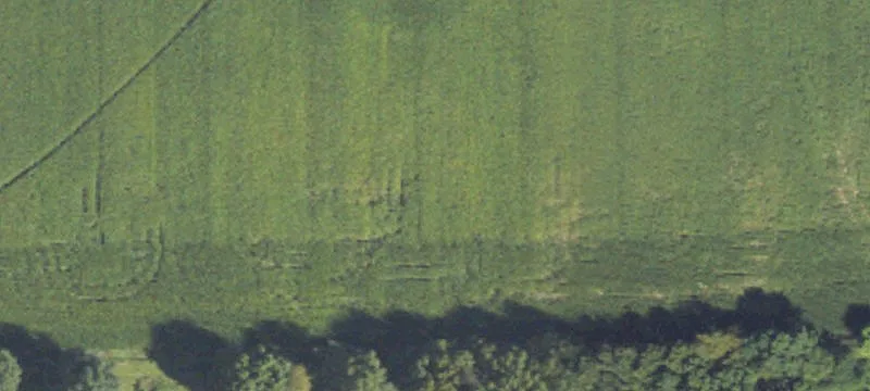Grass Lake, MI 49240