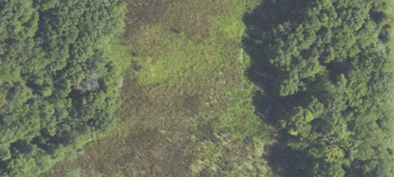 1598 Patterson Lk Rd