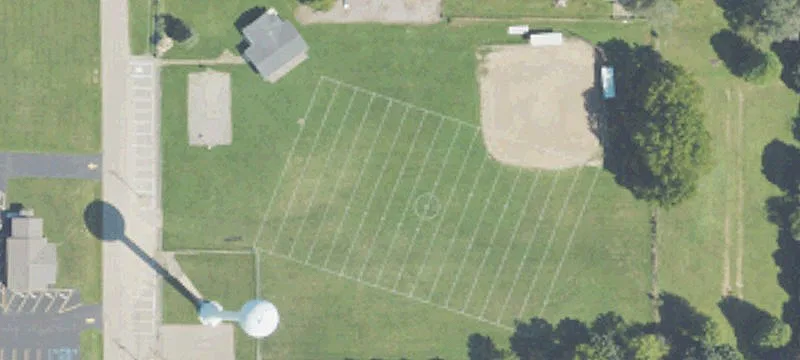 Dansville, MI 48819