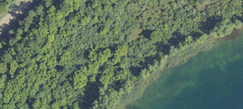 Milford, MI 48381