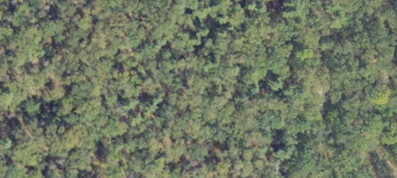 Twin Lake, MI 49457