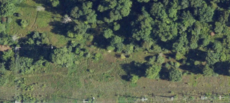 White Lake, MI 48386