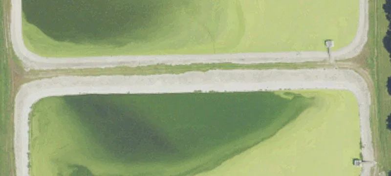 Weston, MI 49289
