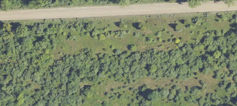 Milford, MI 48381