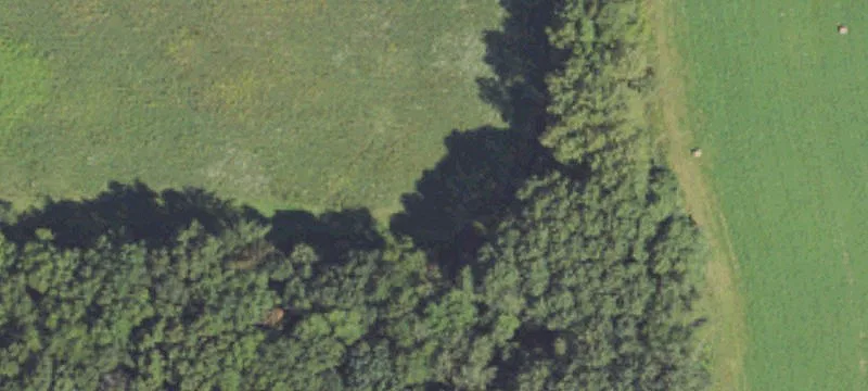 Rives Junction, MI 49277