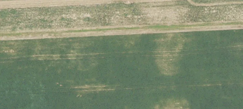 Fowlerville