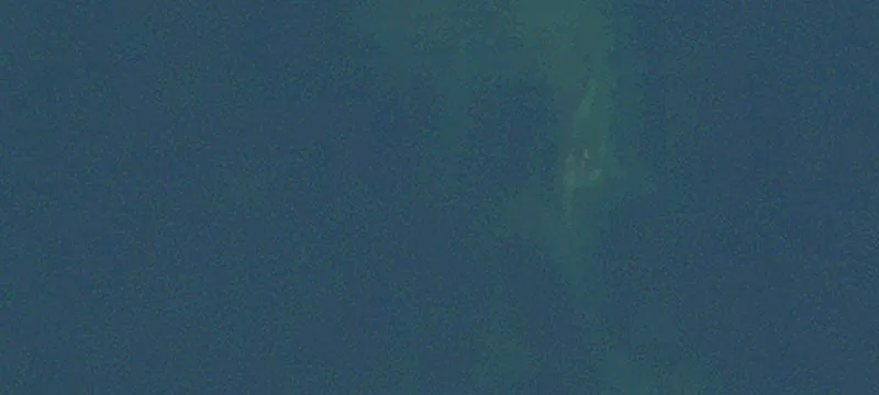 Milford, MI 48381