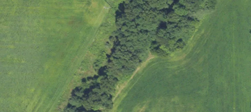 Horton, MI 49246