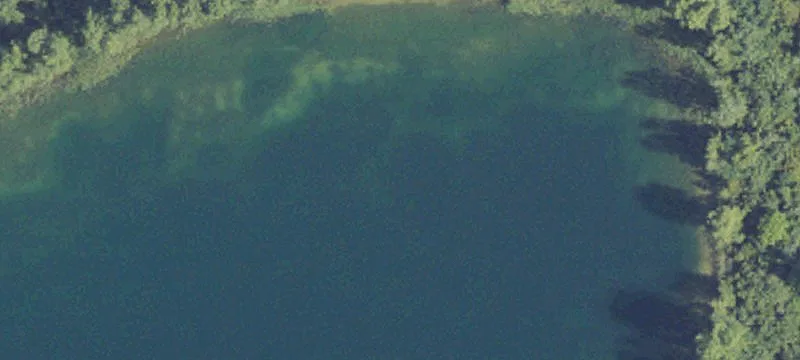 Milford, MI 48381