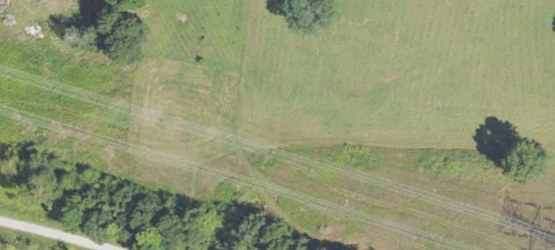 Pinckney, MI 48169