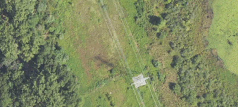 Joslin Lk Rd