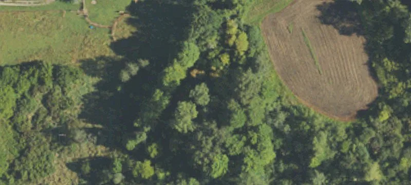 Hanover, MI 49241