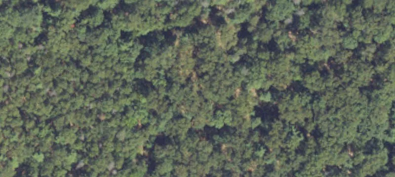 Twin Lake, MI 49457
