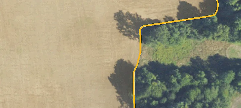 New Hvn Rd