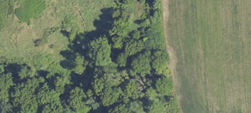 New Hudson, MI 48165
