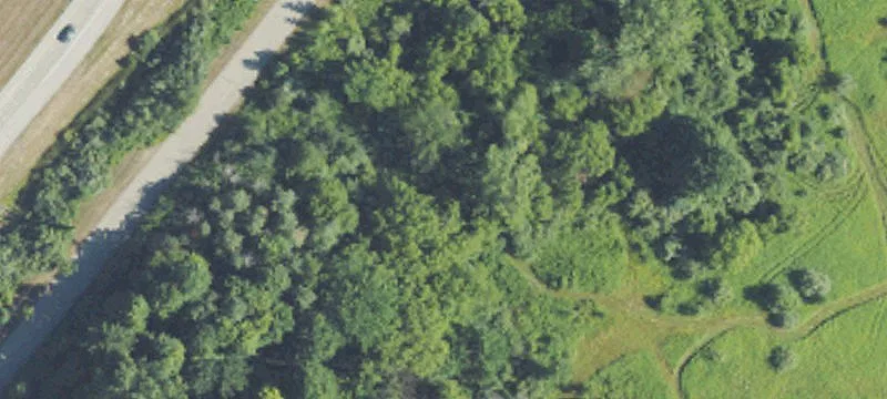 Shelby Township, MI 48316