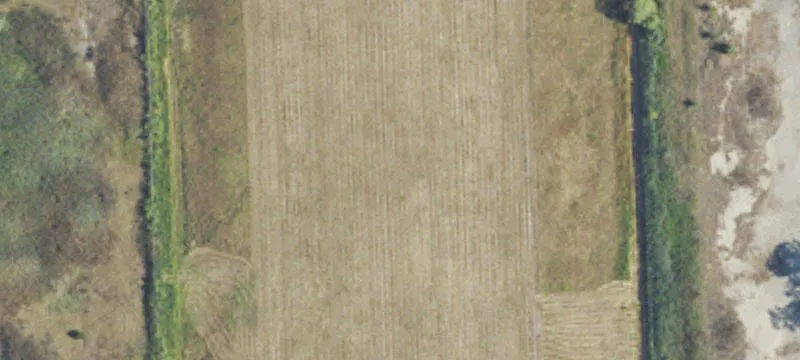 Rochester Hills, MI 48307