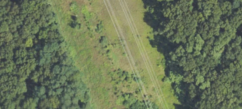 Joslin Lk Rd