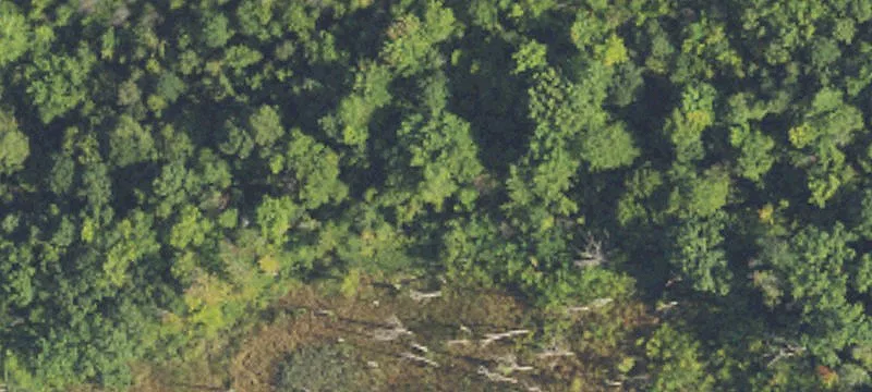 Whitmore Lake, MI 48189