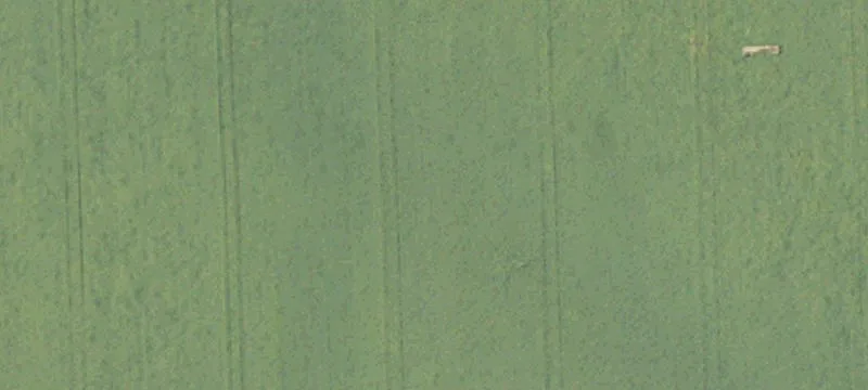 Riga, MI 49276