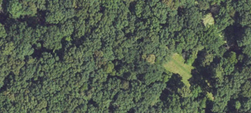 Woodland Park