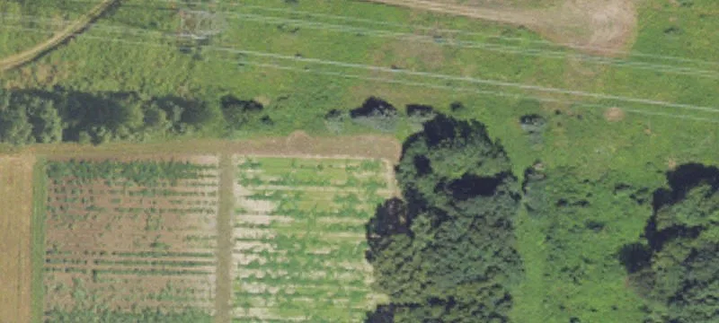 Bellevue, MI 49021