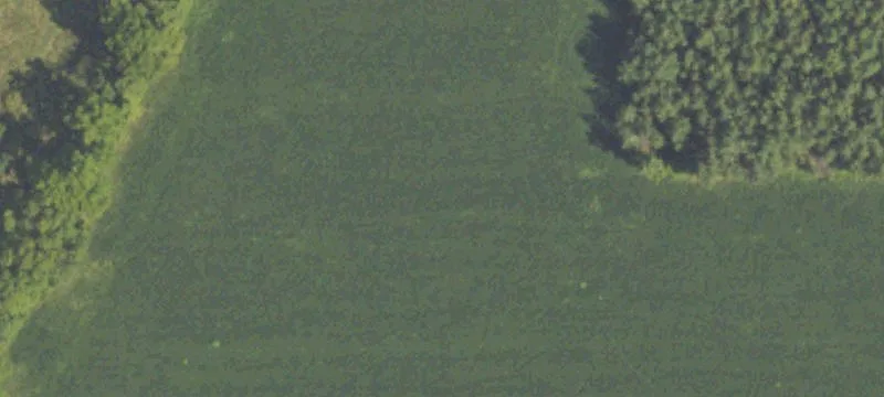 Three Rivers, MI 49093