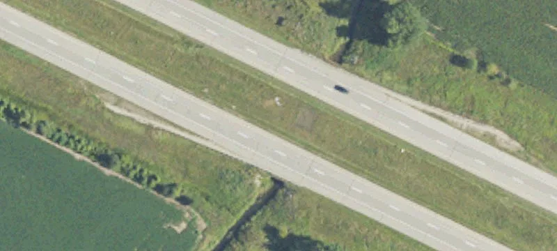 Shepherd, MI 48883