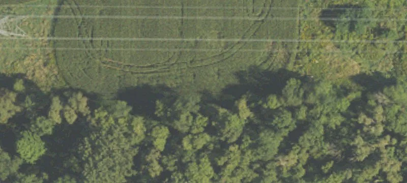 Dorr, MI 49323