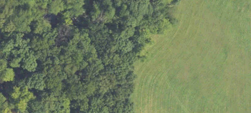 Centreville, MI 49032