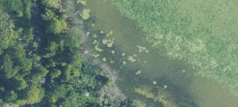 Lk Erie Marsh