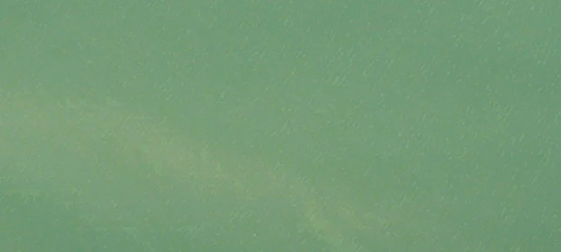 Frontage Lk Erie