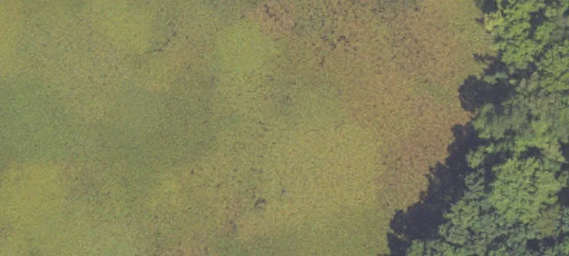 Mendon, MI 49072