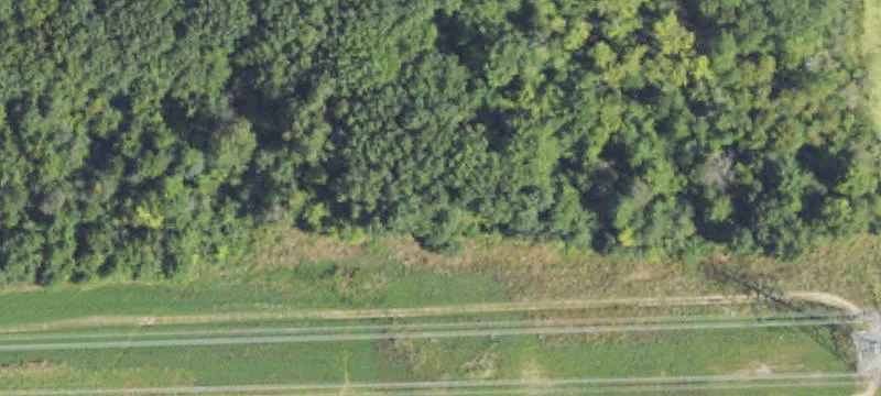 Denton Hl Rd