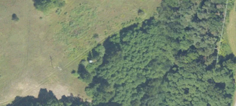 Us 31